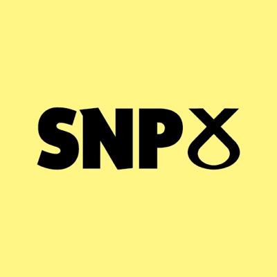 Nation or valance: Why do voters support the SNP?